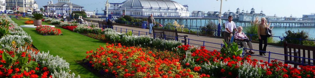carpet gardens alex askaroff