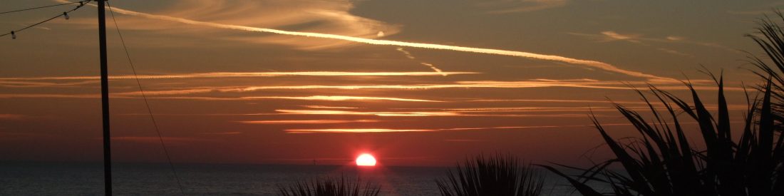 wish tower alex askaroff